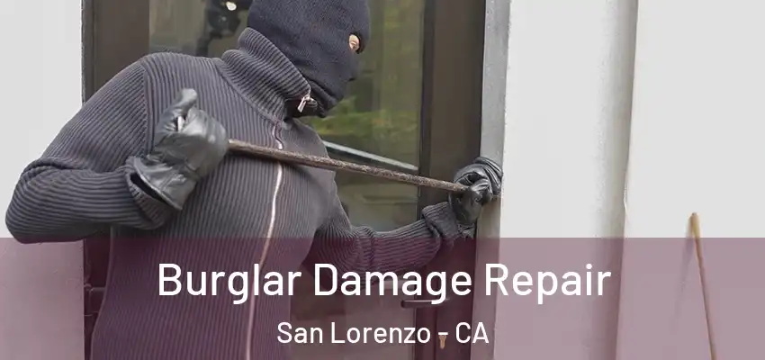 Burglar Damage Repair San Lorenzo - CA